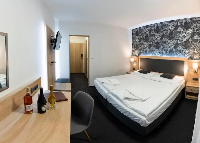 Hotel Kamzik ***
